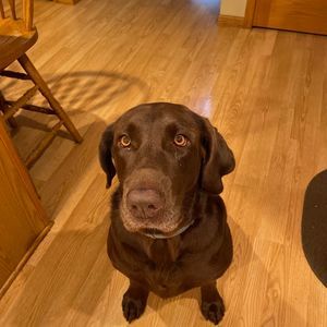 Meet your Posher, Dawnn